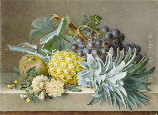 A Still Life With Pineapple, Grapes And Pomegranate - view 1