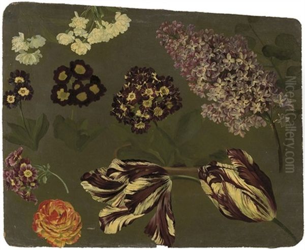 Une Branche De Lilas Violet, Des Auriculae Mauves, Des Tulipes Panachees Violettes Et Blanches Et Un Camelia - view 1