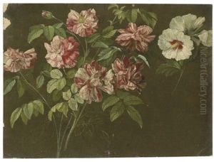 Roses And White Hibiscus (+ Sketch; Verso)