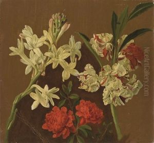 Jacinthe Blanche, Oeillets D'inde Rouges Et Autres Fleurs (+ Esquisse De Bouquets De Fleurs; Verso) by Pancrace Bessa