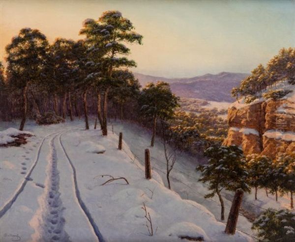 A Sunny Winter Day In The Mountains - view 1