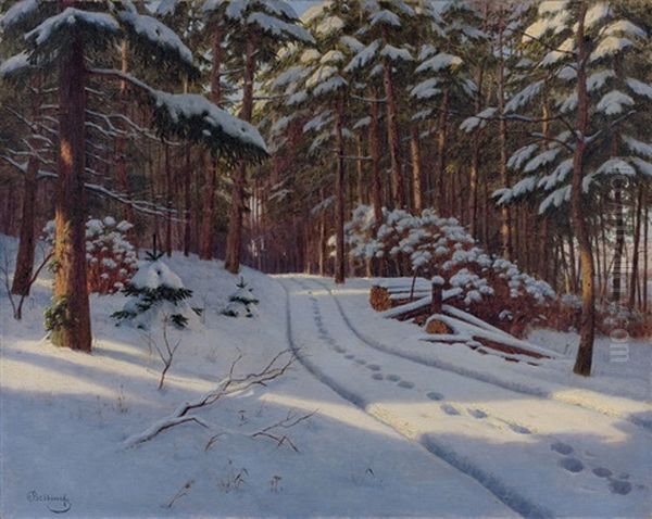 Chemin Sous La Neige - view 1