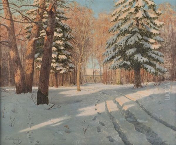 Tracks Through The Newly Fallen Snow - view 1