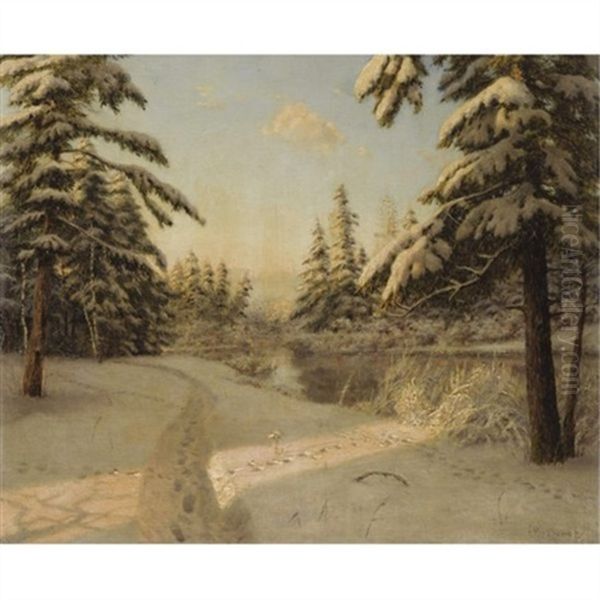 Winter Sunlight - view 1