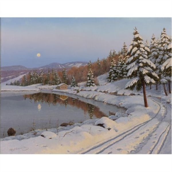 Moonlit Path - view 1