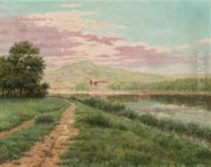 Sentier Au Bord D"un Fleuve