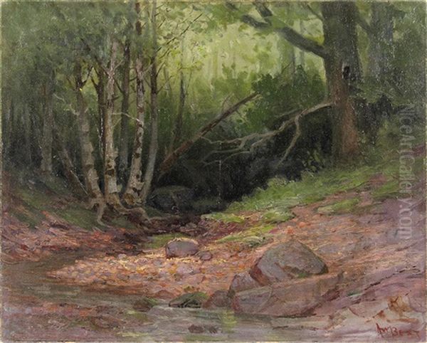 Dark Forest - view 1