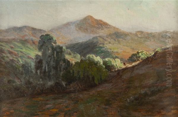 California Rolling Hills Landscape - view 1