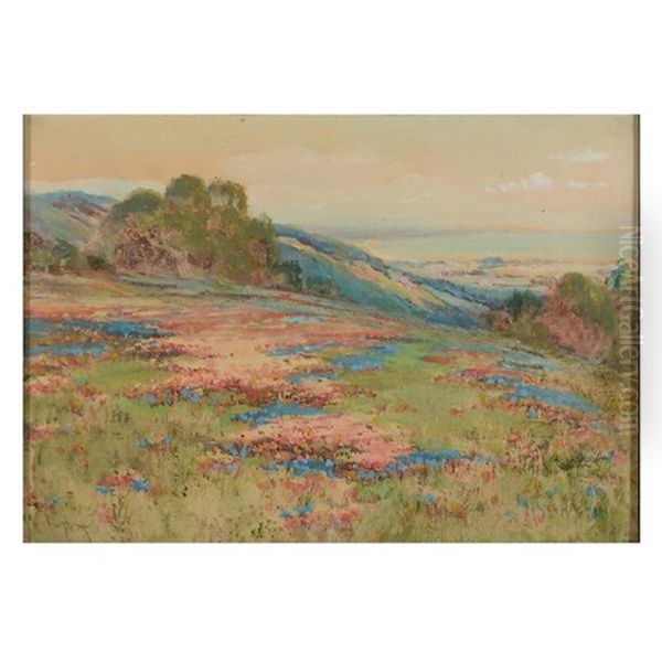 Field Of Flowers - view 1