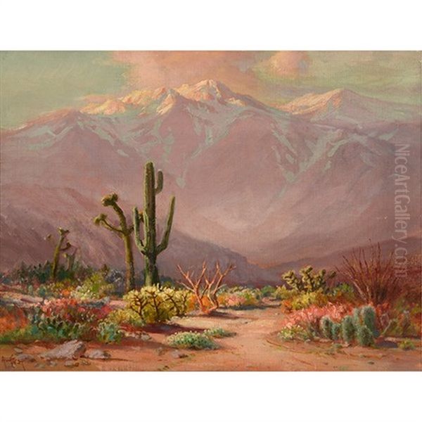 Desert Floor - view 1