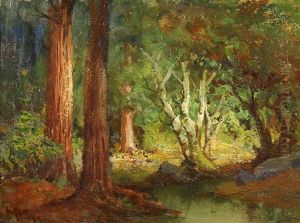 Dappled Redwoods