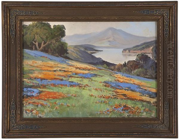 California Wildflower Landscape - view 1