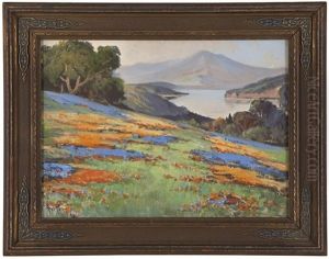 California Wildflower Landscape