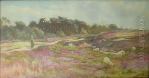 Tending The Sheep - view 1