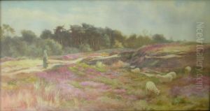 Tending The Sheep by James Aitken