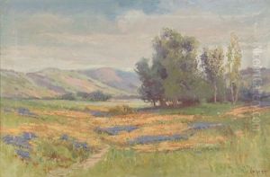 Spring In Sonoma County (california Wine Country) by Arthur William Best