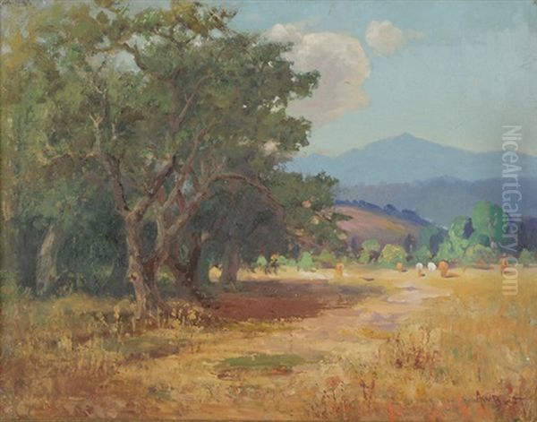 A California Pastoral Landscape - view 1
