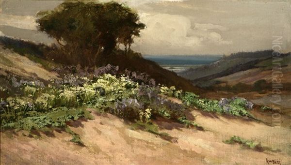 Blooming Dunes - view 1