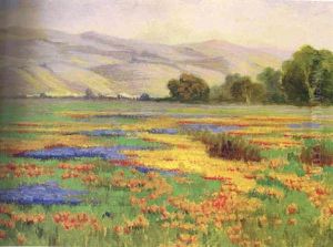 Lupines And Poppies