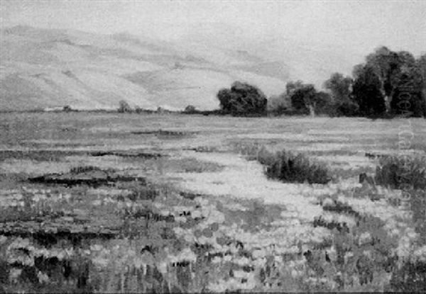 Poppie And Lupines In A California Landscape - view 1