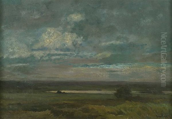 In Den Isarauen - view 1