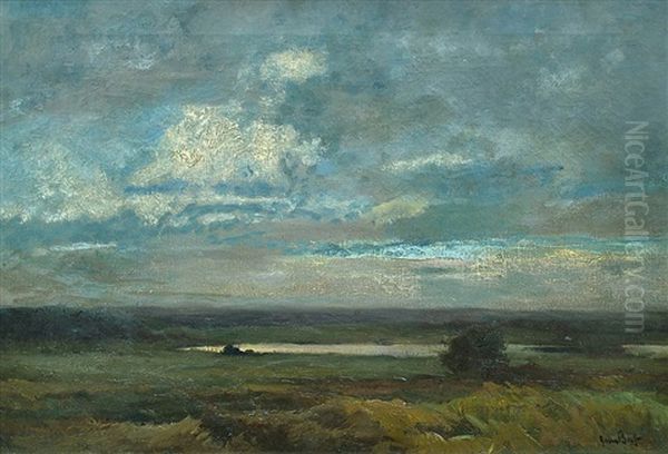 Abendstimmung In Den Isarauen - view 1