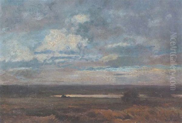 Weite Landschaft Mit Einem Teich - view 1
