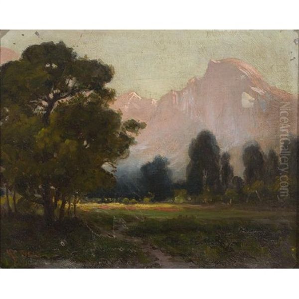 Half Dome - view 1