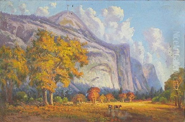 Yosemite Valley, View Of North Dome - view 1