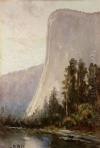 El Capitan - In Yosemite National Park by Harry Cassie Best