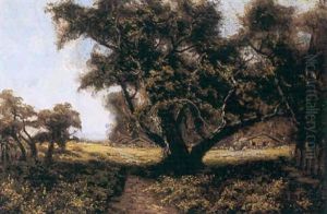A Sacramento Valley Farm by Harry Cassie Best