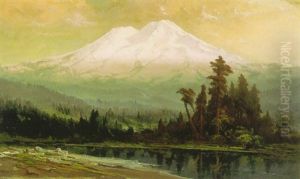 Mount Shasta At Sunset by Harry Cassie Best