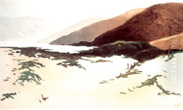 Stinson Beach, Willow Camp - view 1