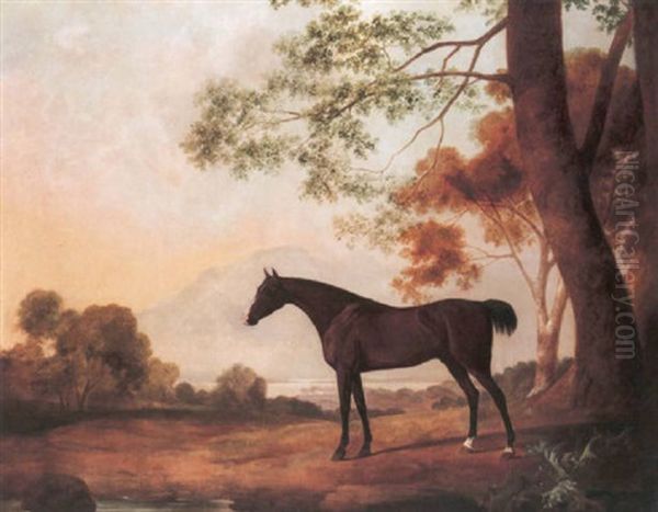 Lord Clermont's Bay Racehorse "johnny" In A Landscape - view 1