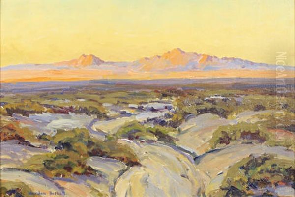 Desert View - view 1