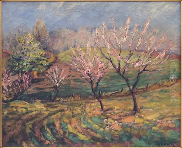 Spring Landscape - view 1