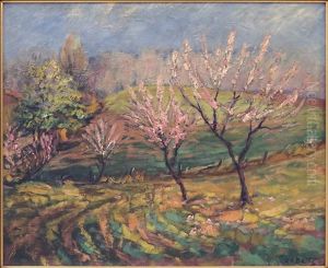 Spring Landscape Spring Landscape