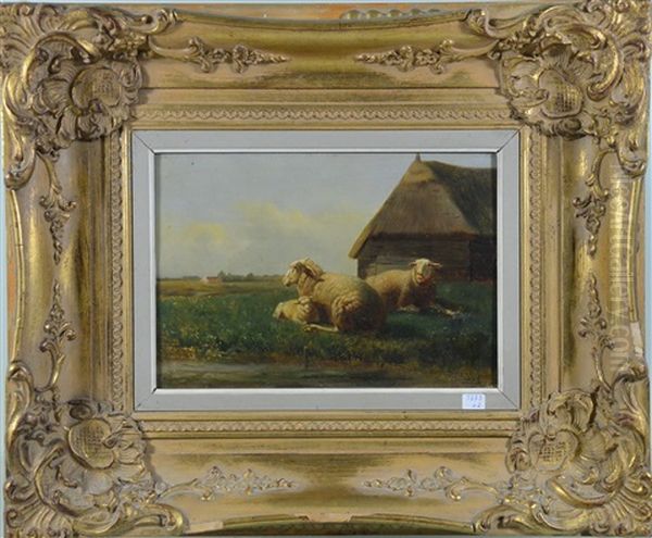 Moutons - view 1