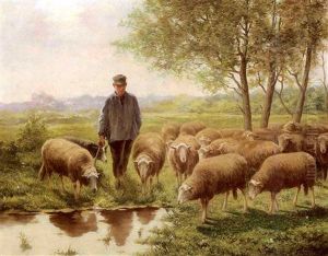 Berger Et Moutons A L'abreuvoir