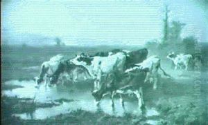 Cattle Watering On Heathland by Frans De Beul