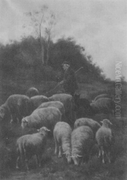 Shepherd Tending His Sheep - view 1