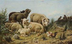 Rest In The Meadow Rest In The Meadow