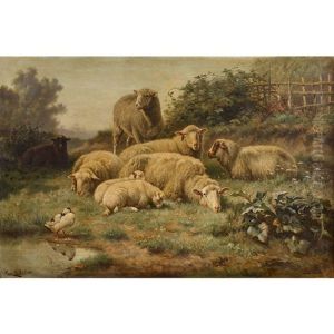 Sheep In A Meadow Sheep In A Meadow