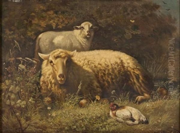 Lamb With Its Mother - view 1