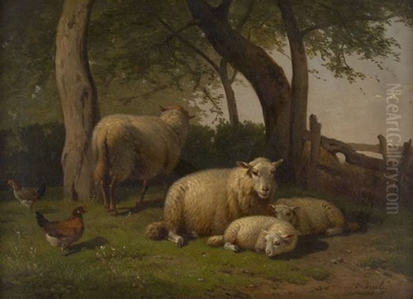 Moutons Et Poules A La Barriere - view 1