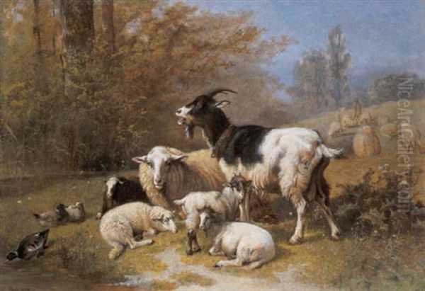 Schapen, Geiten En Eenden In Een Landschap - view 1
