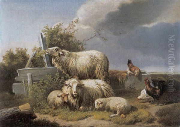 Schapen En Kippen In Een Landschap - view 1