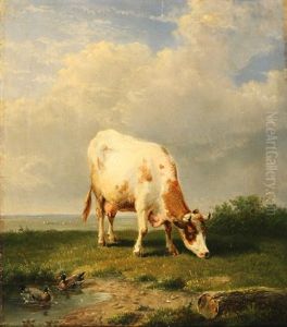 Cow Grazing On A Hilltop