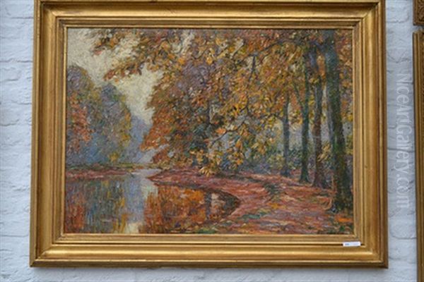 L'etang Du Parc - view 1