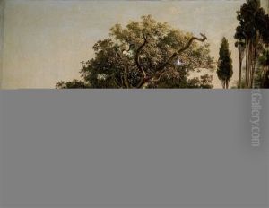Vue Prise Dans Le Golfe De Naples by Giovanni Carlo Bevilacqua